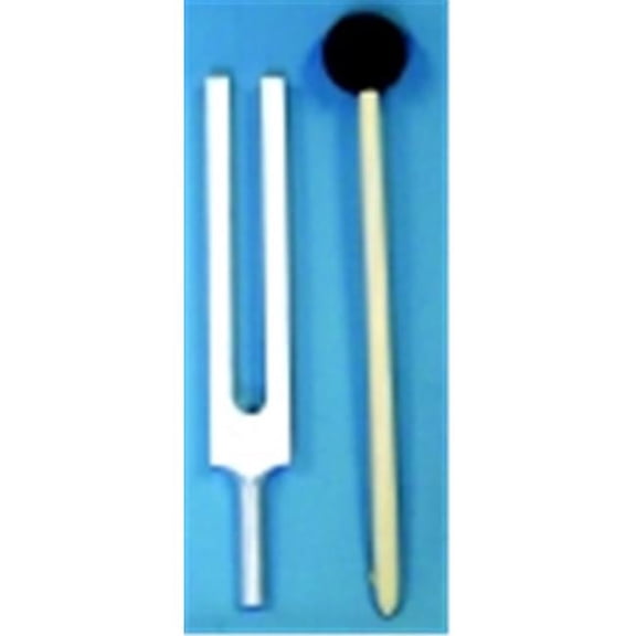 Tuning Fork And Striker
