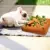 thumbnail image 4 of Juguete para perros y gatos, zanahoria, mascota de peluche, vegetal, juguete para masticar, olfatear mascotas, esconder alimentos, juguetes para mejorar los hábitos alimenticios, accesorios duraderos para masticar perros JM, 4 of 5