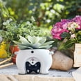 thumbnail image 1 of Succulent Planter Pot Animal Cactus Bonsai Flower Pots With Drainage Hole, 1 of 6