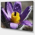 thumbnail image 2 of Purple Flower with Yellow Stigma - Floral Canvas Art Print, 2 of 3