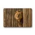thumbnail image 1 of QIFEIHA Lions Theme Painting Doormat Outdoor Indoor Floor Mats Non-Slip Bathroom Mats Rug Size 18x30 Inch, 1 of 4