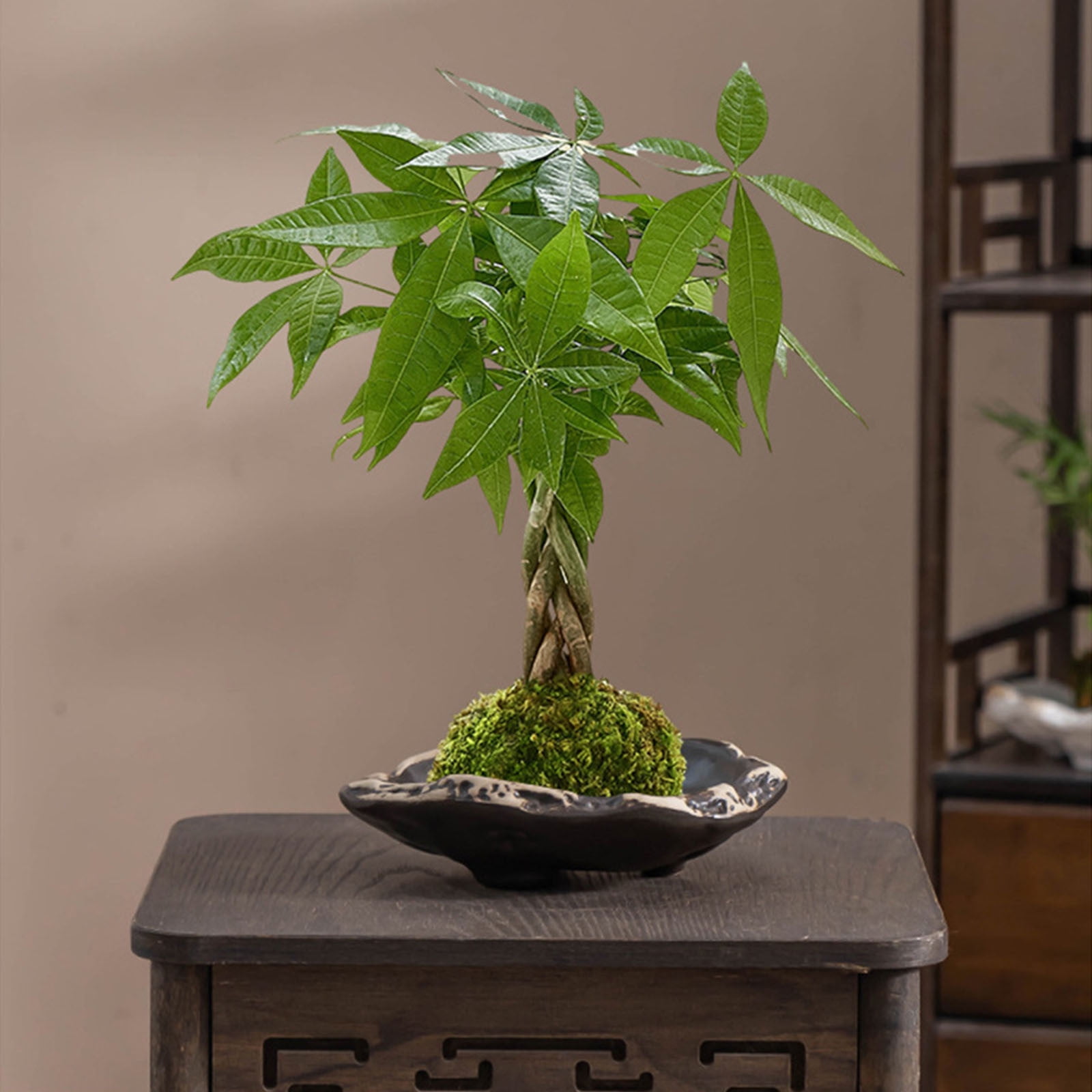 ufehgfjh Gifts Glazed High-Foot Water Culture Flower Pot Ceramic Indoor Hydroponic Planter Large Mouth Decorative Desktop Plant Pot For Home Office Gardening