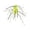 C, variant on Sea Urchin Creature Soft for Drop Shot and Finesse Fishing Slow Sinking