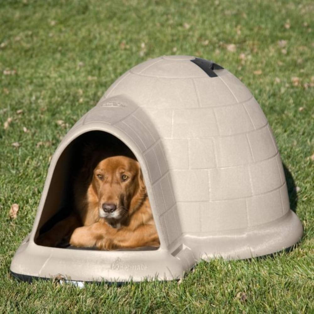 igloo dog house walmart