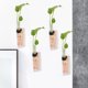 thumbnail image 3 of 2 juegos de contenedores para plantas colgantes de pared, jarrones de propagación hidropónica, tubos de ensayo para decoración del hogar, 3 of 6