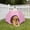 Pink, variant on dog beds for small dogs Hexagon Pet Tent For Outdoor Camping Portable Folding Cats Dog House Waterproof Tear-Resistants Travel Shelters Lightweight Pet Bed For Beach Parks Backyard