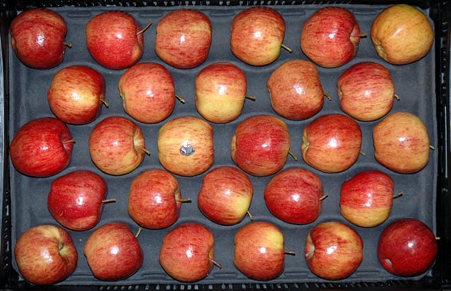 Fresh Cameo Apples, Each