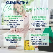 The Amazing Whip-It Stain Remover and Cleaner Concentrate, 128 Fl Oz