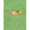 thumbnail image 1 of 11 x 15 In. Grasshopper On Avacado Flag, Garden Size, 1 of 1