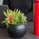 thumbnail image 5 of suculentas artificiales, plantas artificiales de imitación, adornos para oficina y hogar., 5 of 6