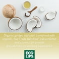 thumbnail image 5 of Eco Lips LIP FOOD Variety Organic Lip Balm, 3 Pack, 5 of 7