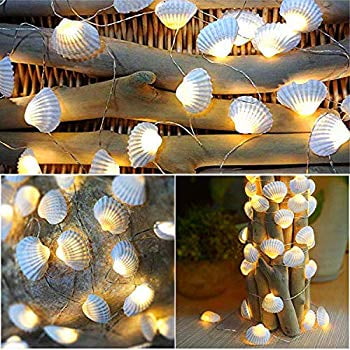 Natural Seashell String Lights 13 2ft 40 Led 8 Modes Warm White Weatherproof Battery Operated Ocean Theme Lights For Bedrooms Parties Weddings Gardens With Remote And Timer Natural Seashell Walmart Com Walmart Com