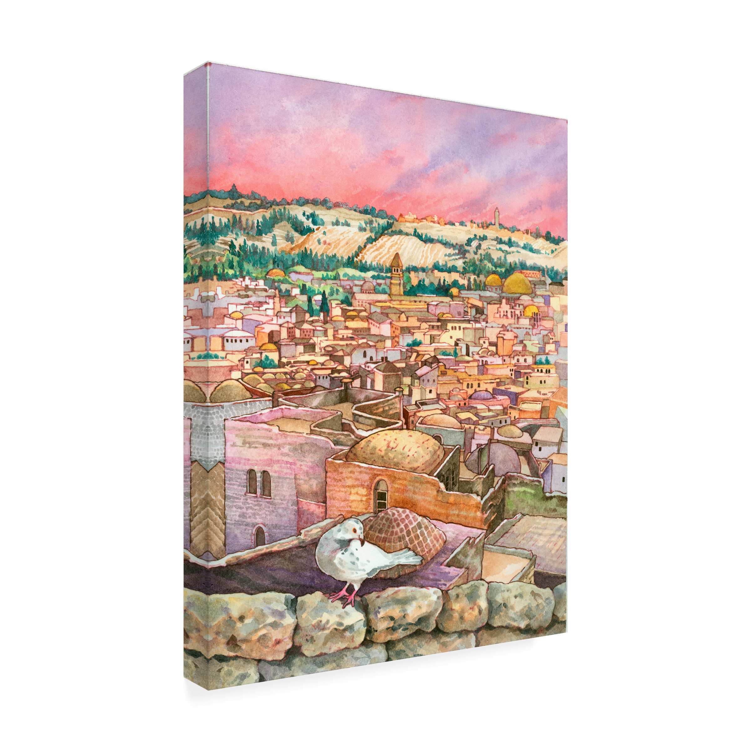 Wendy Edelson 'Jerusalem Dove' Canvas Art