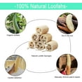 thumbnail image 2 of 6 Pack Natural Loofah Sponge Shower Organic Luffa Bath Loofa Exfoliating Body Scrubber Loofah for Men Women, Adults Back Face Body Skin SPA Care, 2 of 4