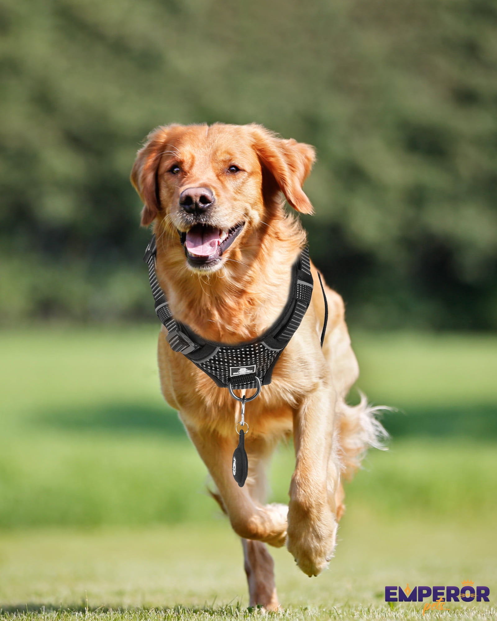 Emperor Pets Black Reflective Dog Harness Medium Sized Dog - No Pull Dog Harness with 2 Leash Clips, Premium Oxford Soft Padded Harness Medium Size Dog, Medium Dog Harness (M, Black)