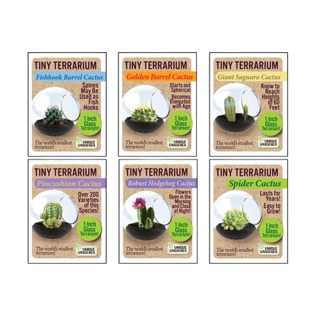 Unique Gardener Tiny Terrarium - 6 Variety Cacti Pack: 1 of Each