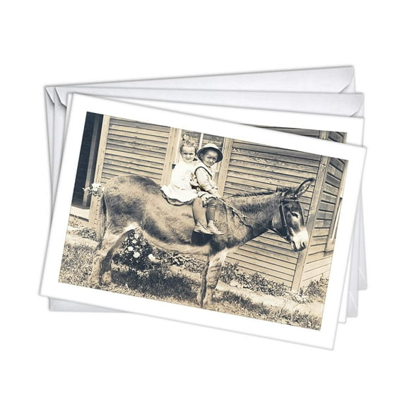 Riding Your Donkey Funny Womens Birthday Greeting Cards | 1 Pack Single (5x7)
