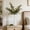 White, variant on Plastic Vase for Dried Flowers, Tall Narrow Decorative Vase for Pampas Grass, Modern Tabletop Centerpiece for Coffee Table, Desk, Shelf or Dining Room Decor