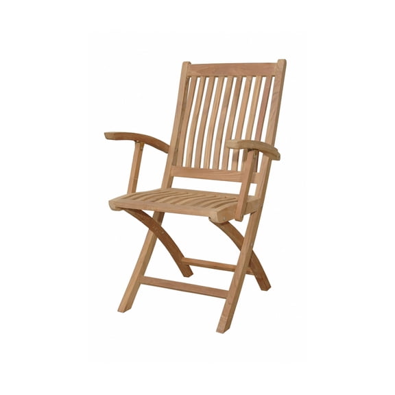 Anderson Teak Tropico Folding Patio Dining Chair in Natural (Set of 2)