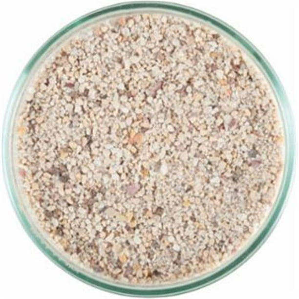 Aragonite sand cheap