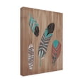 thumbnail image 2 of Trademark Fine Art 'Driftwood Feathers II' Canvas Art by June Erica Vess, 2 of 4
