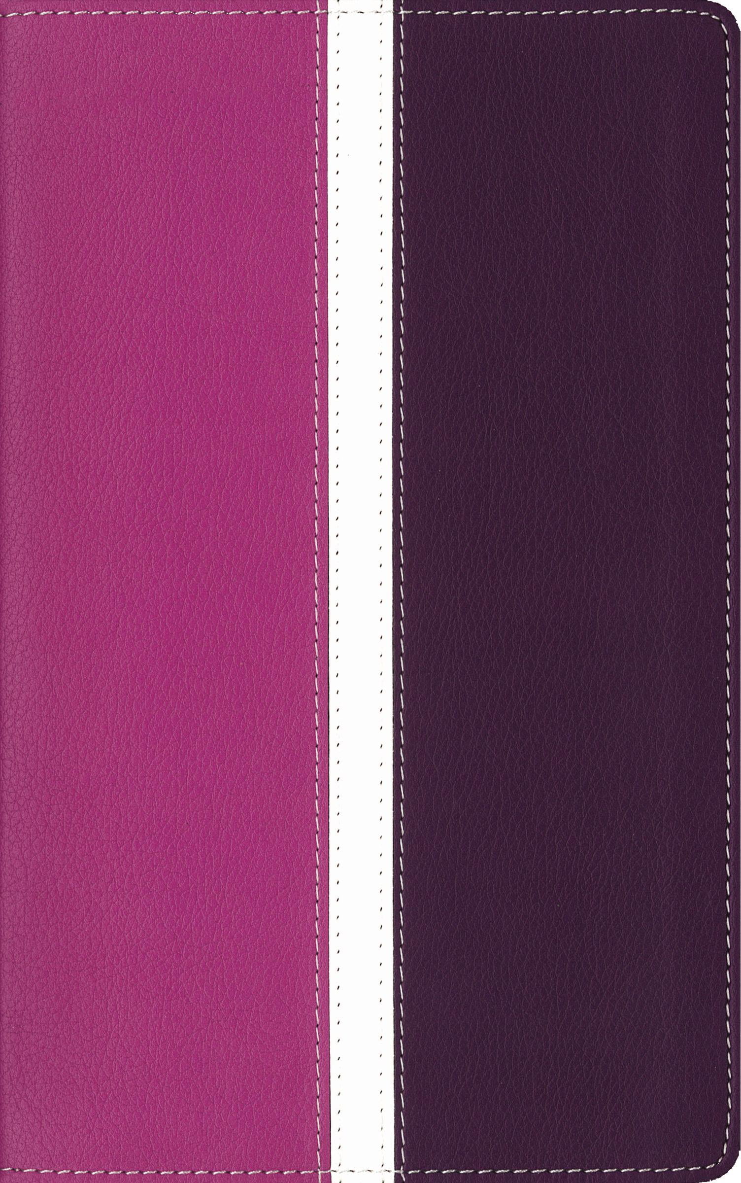 Amplified, Holy Bible, Imitation Leather, Pink/Purple, Indexed Captures the Full Meaning
