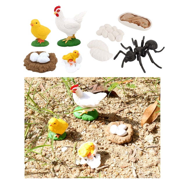 Figuras de Del Modelo de Ciclo de Crecimiento de Hormigas perfke Figurilla del ciclo de crecimiento