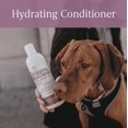 thumbnail image 4 of Breedwise Pet Provisions Sweet Pea Vanilla Pet Conditioner, 12 oz – For Dogs and Cats, 4 of 7