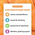 NOKA Superfood Pouches (Sweet Potato HYZ01 Goji) 6 Pack 100 Organic
