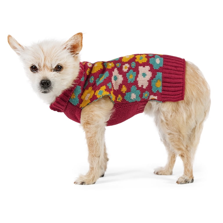 Vibrant Life Fall Flowers Sweater for Dogs & Cats, XS photo 5