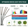 thumbnail image 5 of MY CITY GARDEN 36 W Gooseneck LED Grow Lights, 6 Heads - 5000K, Indoor Grow Lights, 5 of 8