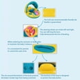 thumbnail image 6 of Yanxiao Inflatable Baby Pool Float, 28.7" Baby Float Pool Toys with Canopy & Safety Handles & Steering Wheel, Baby Swimming Infant Pool Float Beach Toys, Baby Swim Float for 6-36 Months Boys & Girls, 6 of 9