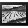 thumbnail image 2 of Adams, Ansel 18x15 Black Modern Framed Museum Art Print Titled - Looking across rows of corn, cliff in background, Corn Field, Indian Farm near Tuba City, Arizona, i, 2 of 5