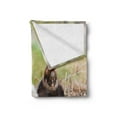 thumbnail image 2 of Chicks Soft Flannel Fleece Throw Blanket, Photo Focused on Little Chickens in Hay with Eggs Farm Animal Print, Cozy Plush for Indoor and Outdoor Use, 60" x 80", Multicolor, by Ambesonne, 2 of 5