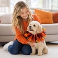 thumbnail image 4 of Halloween Dog Collar with Ruffled Tulle and Pumpkin Accents, 1 Piece, Orange and Black, for Small Dogs and Cats, Decorative Accessory, 4 of 5