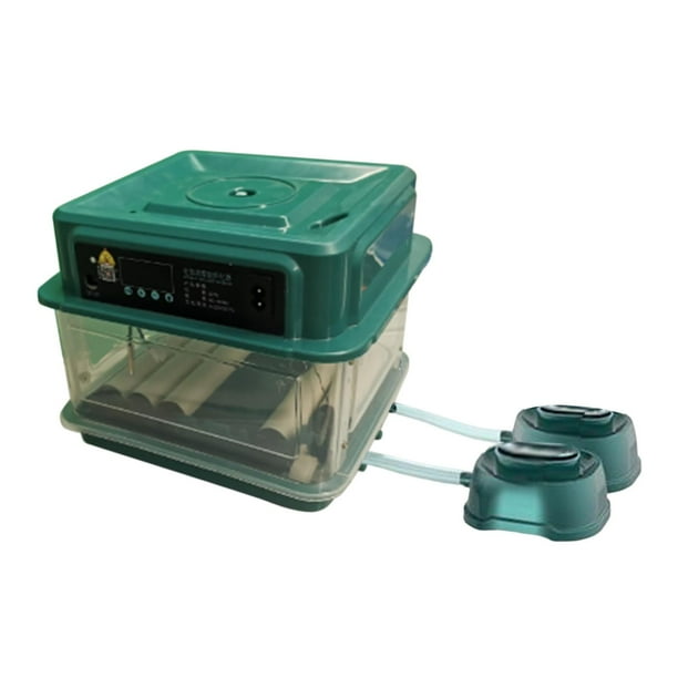 Incubadora automática de huevos Jinwen 10 huevos digitales