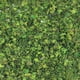 thumbnail image 2 of Paquete de 2 Hojas en Miniatura, Modelo Estático, Ferrocarril, Diseño de Jardín de Hadas, Decoración de Arena Sunnimix micro hojas de paisaje, 2 of 8