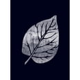 thumbnail image 3 of Phillip, Jamie 11x14 Black Modern Framed Museum Art Print Titled - Green Thumb, 3 of 5
