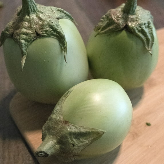 Apple Green Eggplant Seeds - 5 Lb Bulk ~520000 Seeds - Non-GMO, Heirloom - Vegetable Garden - Solanum melongena