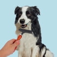 thumbnail image 2 of KAKOWELY pet comb Large Dog Hair Removal Comb Pet Dematting Comb Tool Dog Dematting Rake Grooming Comb Dog Detangler Brush Dog Brush For Short Haired Dogs Dog Dematting Tools, 2 of 5