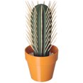 thumbnail image 2 of Xihbxyly Ofertas Prime Del Día Solo Hoy Estuche para Palillos de Dientes En Maceta con Simulación de Cactus Impreso, 2 of 4