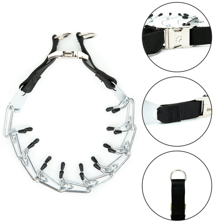 Prong martingale collar 2025