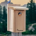 Audubon Cedar Bluebird House with Pole and Hole Protector