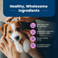 thumbnail image 4 of Blue Buffalo Life Protection Formula Small Breed Dry Puppy Food, Chicken & Oatmeal 4.99kg, 4 of 11