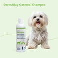 thumbnail image 6 of DermAllay Oatmeal Shampoo for Dogs  Cats  and Horses  12 fl oz, 6 of 8