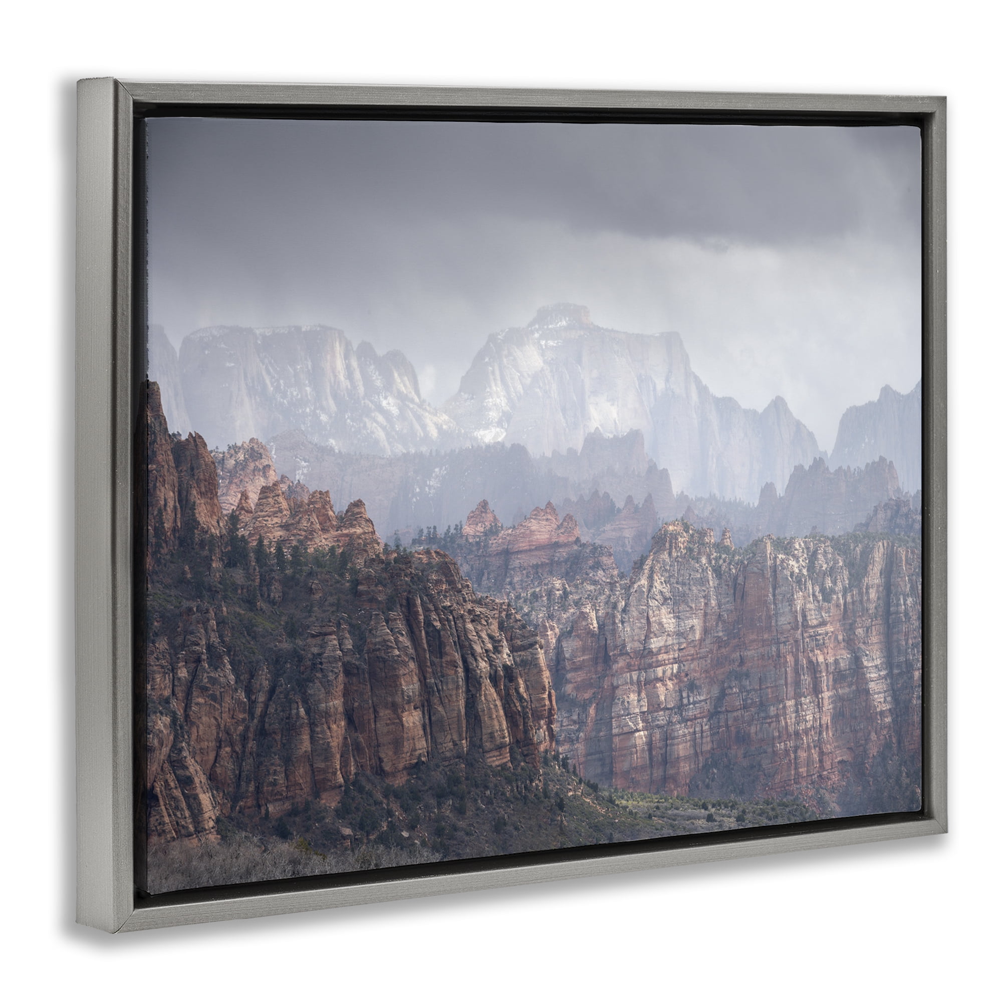 Stupell Industries Zion National Park Landscape Photography Gray Floater Framed Art Print Wall Art, 21 x 17