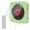 Green, variant on MEGICOT 2600mAh Rechargeable CD Player Built-in Speakers, Bluetooth Wall Mountable Music Player with Dust Cover Remote Control, Support FM Radio USB Flash Micro SD AUX Play