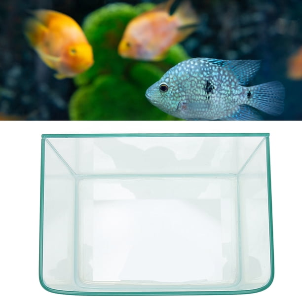 Tanque de Peces Bordes Pulidos Altos Tanque de Peces Doblado de Calor Tanque de Peces de Plástico Tanque de Peces Transparente para Oficina Negocios Uso de Escritorio en el Hogar ANGGREK Otros