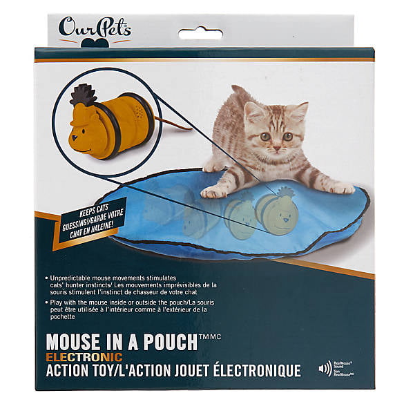 cat toy with mouse inside