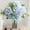 D, variant on Elegant Spring Carnation Bouquet for Living Room Entrance and Daytime Giving